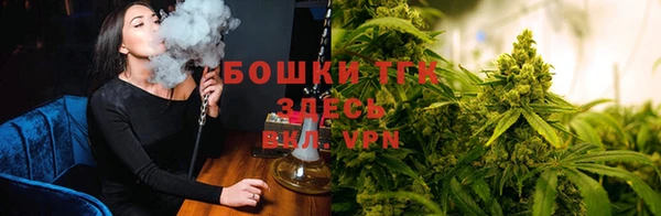 spice Балахна