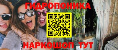 ешки Бийск