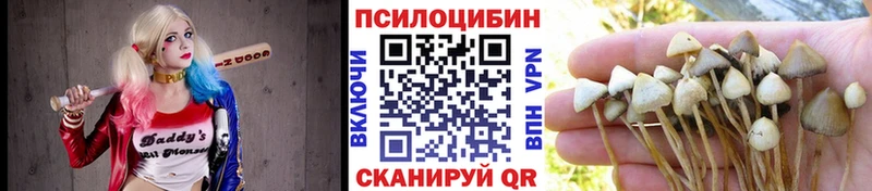 Галлюциногенные грибы ЛСД  Верхняя Салда 